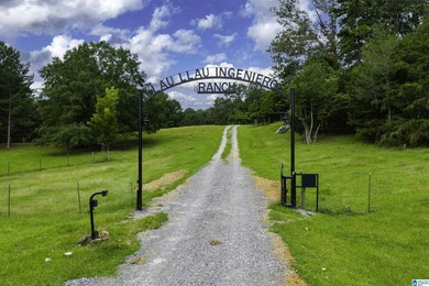 Gorgeous 65+/- Acre Retreat in Springville! Nestled at the base - photo 59