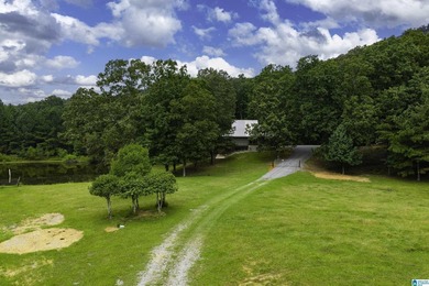 Gorgeous 65+/- Acre Retreat in Springville! Nestled at the base - photo 60