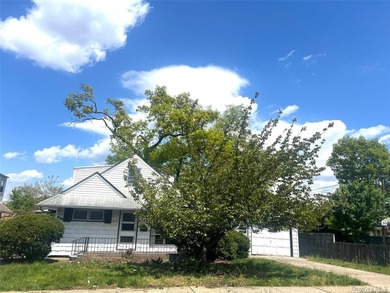 Cape-style home set on a 65x100 lot, offering 3 bedrooms and 2 - photo 1