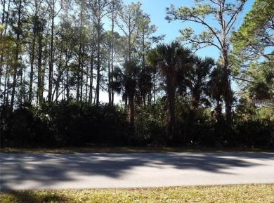 Gorgeous OVERSIZED lot in PORT CHARLOTTE Welcome to your - photo 8