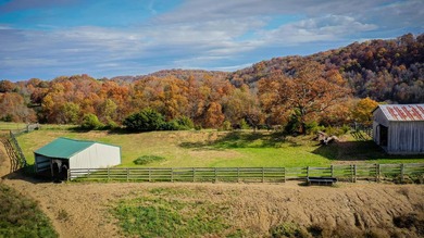 Extraordinary East Tennessee Equestrian Estate resting on 103+ - photo 2