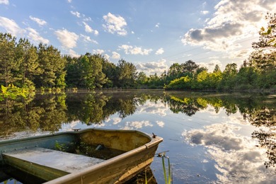 Lake Acreage For Sale in Georgiana, Alabama