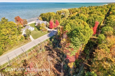 Lake Huron - Huron County Acreage For Sale in Lake Michigan