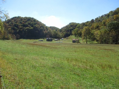 This large 355 acre tract is a rare find for this area - photo 4