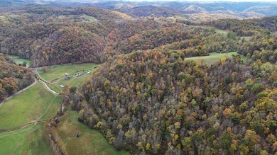 This large 355 acre tract is a rare find for this area - photo 9