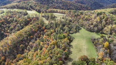 This large 355 acre tract is a rare find for this area - photo 10