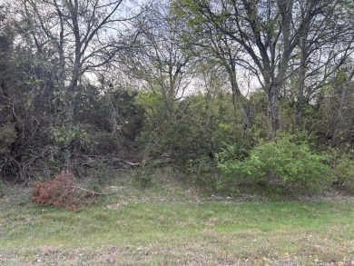 Known for its limestone bluffs, still-water coves & uncongested - Lake Lot For Sale in Whitney, Texas