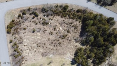 Lake Lot For Sale in Tazewell, Tennessee