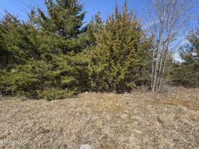 Lake Lot For Sale in Tazewell, Tennessee