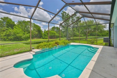 Lake Home For Sale in Apollo Beach, Florida