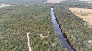 (private lake, pond, creek) Lot For Sale in Pinetta Florida