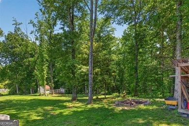 Imagine waking up to peaceful North Georgia views, enjoying - photo 45