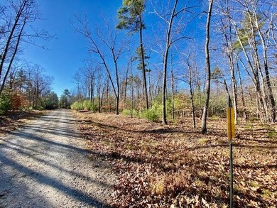 This is a rare opportunity to acquire 54 acres of prime - photo 14