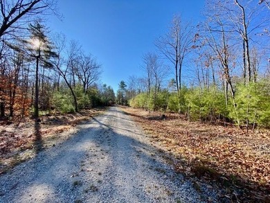 This is a rare opportunity to acquire 54 acres of prime - photo 15