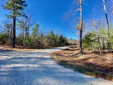 This is a rare opportunity to acquire 54 acres of prime - photo 16