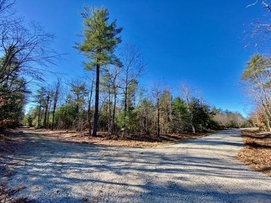 This is a rare opportunity to acquire 54 acres of prime - photo 17