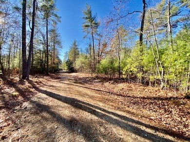 This is a rare opportunity to acquire 54 acres of prime - photo 19