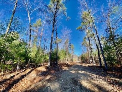 This is a rare opportunity to acquire 54 acres of prime - photo 20