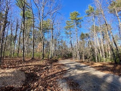 This is a rare opportunity to acquire 54 acres of prime - photo 26
