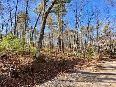 This is a rare opportunity to acquire 54 acres of prime - photo 27