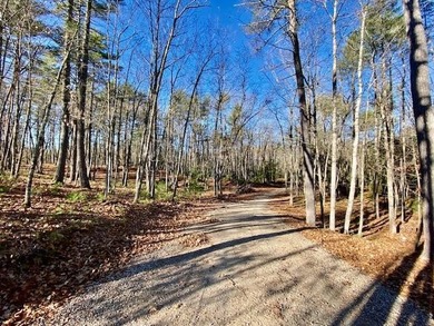 This is a rare opportunity to acquire 54 acres of prime - photo 28
