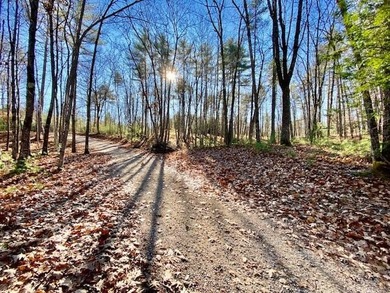 This is a rare opportunity to acquire 54 acres of prime - photo 29