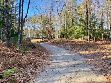 This is a rare opportunity to acquire 54 acres of prime - photo 31