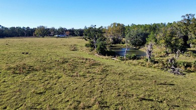 Lake Acreage Active Under Contract in Perry, Florida