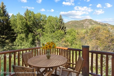 Tucked along the Roaring Fork River just 10 minutes from Aspen - photo 10