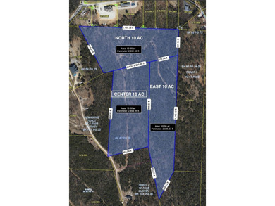 Chance to own 10 +/- acres of mature forested lake area property - photo 3