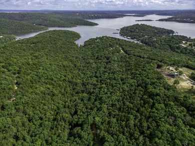 Chance to own 10 +/- acres of mature forested lake FRONT - photo 4