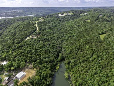 Chance to own 10 +/- acres of mature forested lake FRONT - photo 8