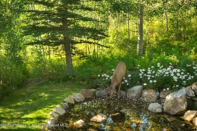 Perched atop Ridge Run on a private 3/4-acre lot, this Michael - photo 9