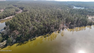 Pungo River - Beaufort County Acreage For Sale in Sladesville North Carolina