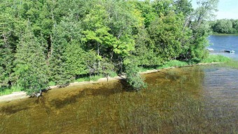 South Manistique Lake Lot For Sale in Curtis Michigan