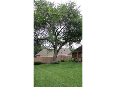This owner-occupied home has benefited from being appreciated by - photo 4