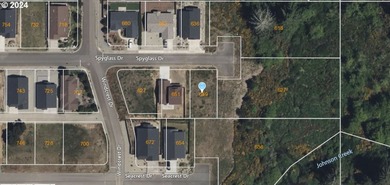 OCEAN TERRACE! Coveted Ocean Terrace lot near Bandon's world - photo 6