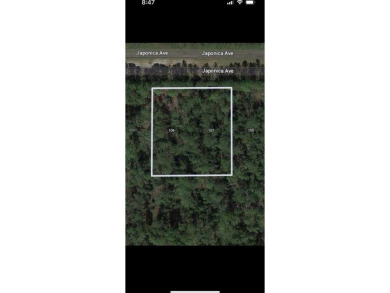 Lake Lot For Sale in Indian Lake Estates, Florida