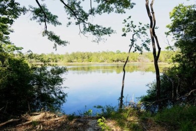 (private lake, pond, creek) Acreage For Sale in Amite Louisiana