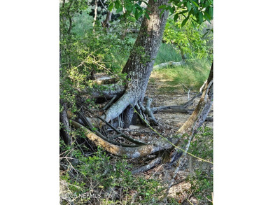 AMAZING WATER VIEWS! Parcel may be Split One Time. Now offering - photo 32