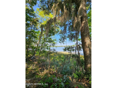 AMAZING WATER VIEWS! Parcel may be Split One Time. Now offering - photo 33