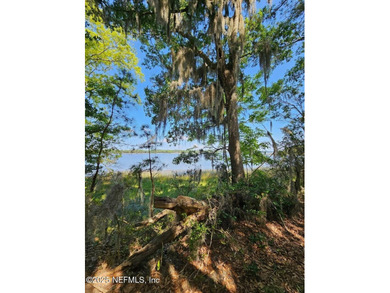 AMAZING WATER VIEWS! Parcel may be Split One Time. Now offering - photo 34