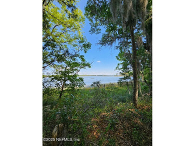 AMAZING WATER VIEWS! Parcel may be Split One Time. Now offering - photo 37
