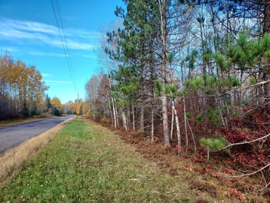 Lake Acreage For Sale in Tomahawk, Wisconsin
