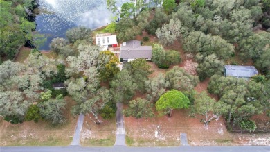 Lake Home Sale Pending in Eustis, Florida