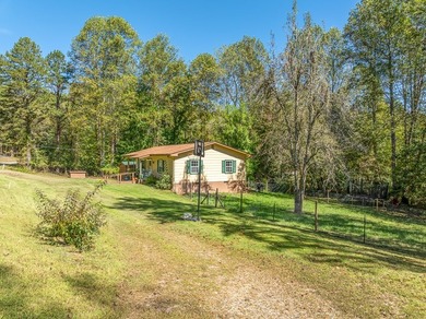 AFFORDABLE RANCH close to downtown Blairsville! Rare opportunity - photo 27