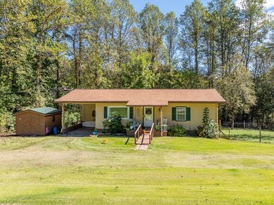 AFFORDABLE RANCH close to downtown Blairsville! Rare opportunity - photo 28