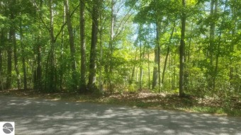 Lake Ogemaw Lot For Sale in West Branch Michigan