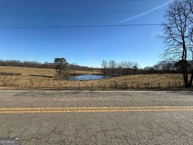 (private lake, pond, coastal) Acreage For Sale in Bowdon Georgia