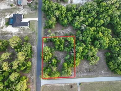 0.5 acres in the beautiful Rainbow Lakes Estates community - photo 3